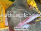 Ikan Pari Tajam Fresh Fish