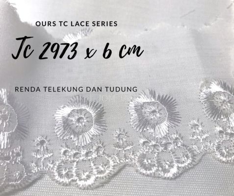 Lace Tc 2973 x 6cm