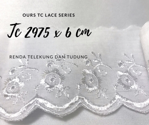 Lace Tc 2975 x 6cm 