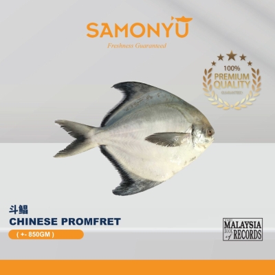 Chinese Promfret ���� 