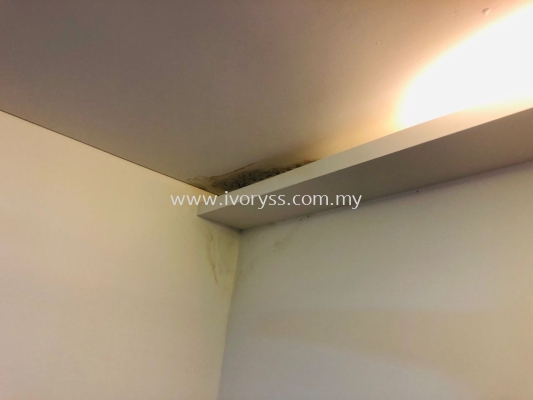 Toilet Leakage Affecting The Unit Downstairs Condominium Iskandar JB