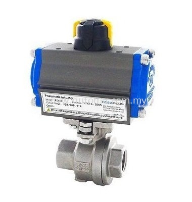 AT125B 2-PC-Body SS316 Ball Valve