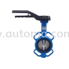 ACM CI/DI Butterfly Valve AUTOMA Valve PRINCIPAL STORE