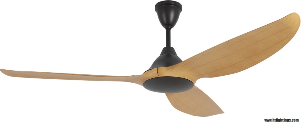 NSB B FAN OAK