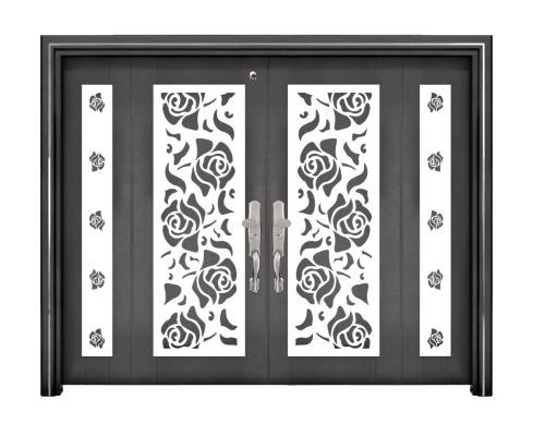 Security Door : D9 Series