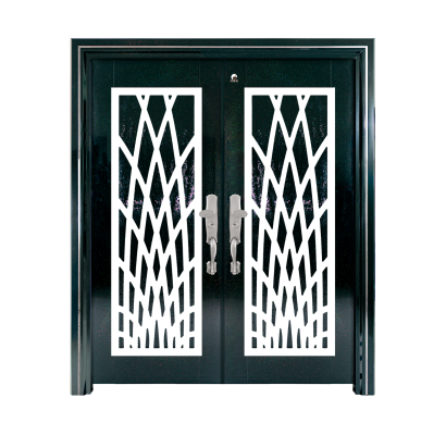 Security Door : D6 Series