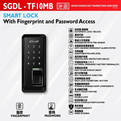SGDL - TF 10 MB