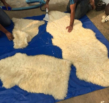 Flokita Rugs Cleaning 