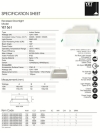 YET 561 12W/18W Downlight