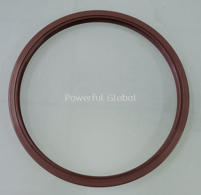 Oil Seal TF 180 200 13 VITON