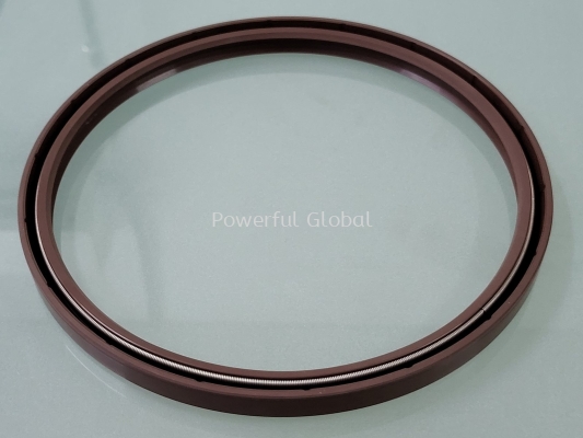 Viton Oil Seal TF 180 200 13 V