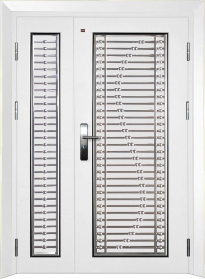 Security Door : P4-501 