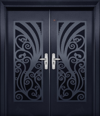 Security Door - P6-L30DB  
