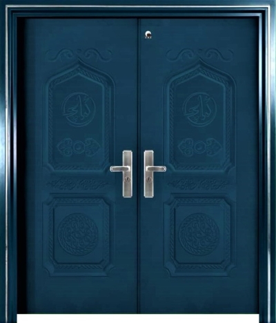 Security Door - P6-T8821