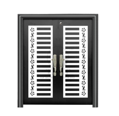 Security Door - D6-910 