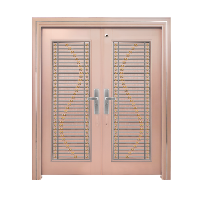 Security Door - D6-501G  