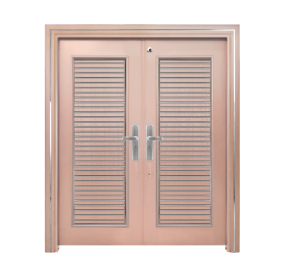 Security Door - D6-304A 