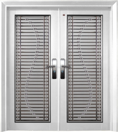 Security Door - P6 - 501