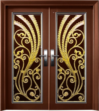 Security Door - P6-555G      