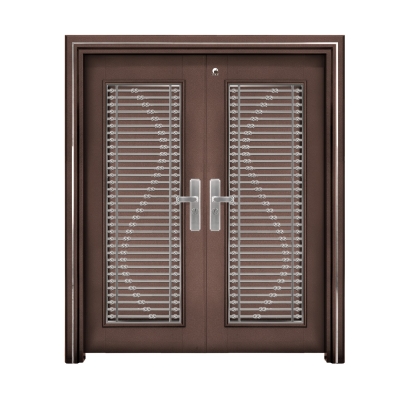 Security Door - 501 L 