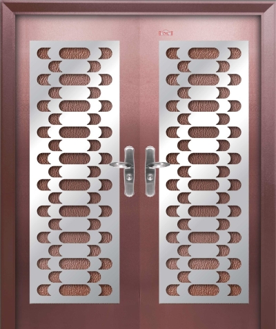 Security Door - AP6-SS871