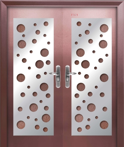 Security Door - AP6-SS868