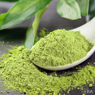 Matcha Powder