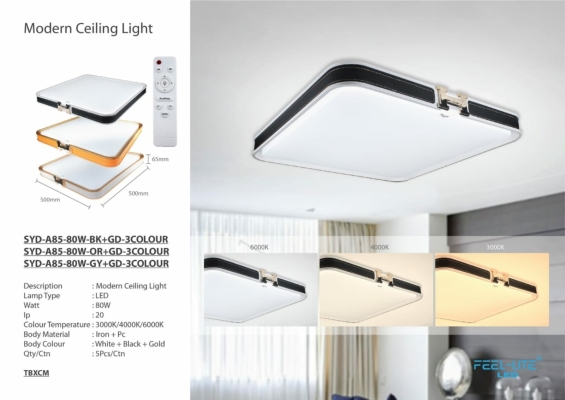 lEd cEiling liGjt