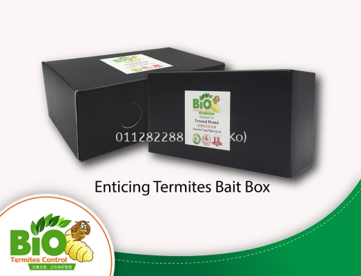 Enticing Termites Bait Box