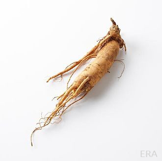 Ginseng