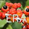 Guarana Energy Booster Nutraceutical