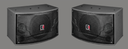 Audio King SP100 Karaoke Speaker 140W Karaoke Speakers Karaoke