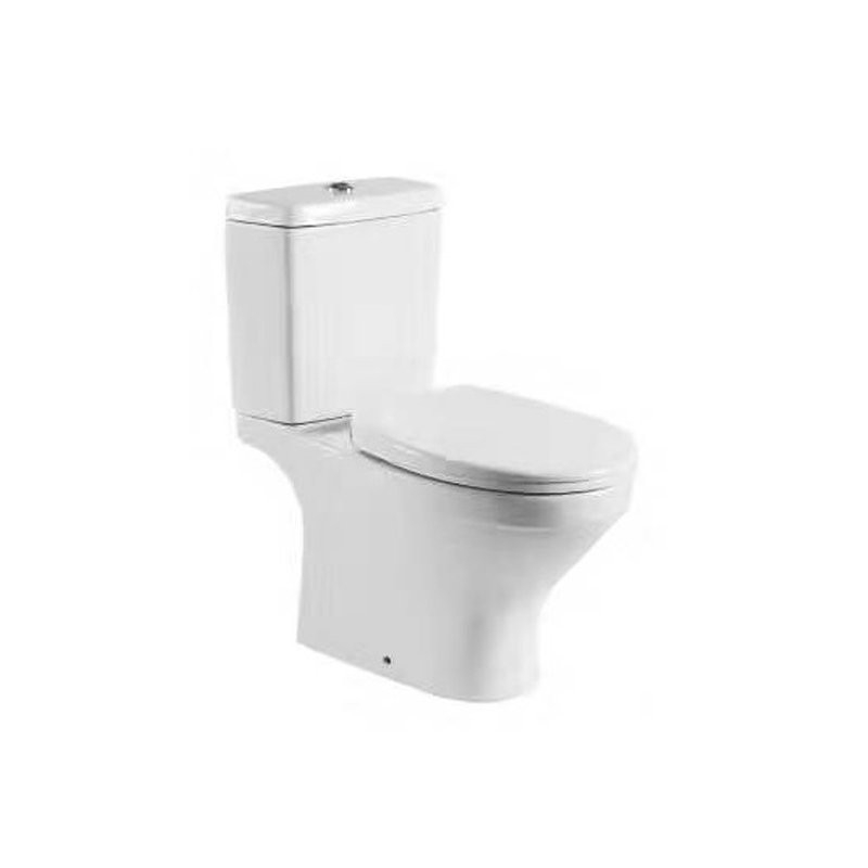 W22506 BARENO Water Closet / Toilet Bowl Bathroom / Washroom Choose Sample / Pattern Chart