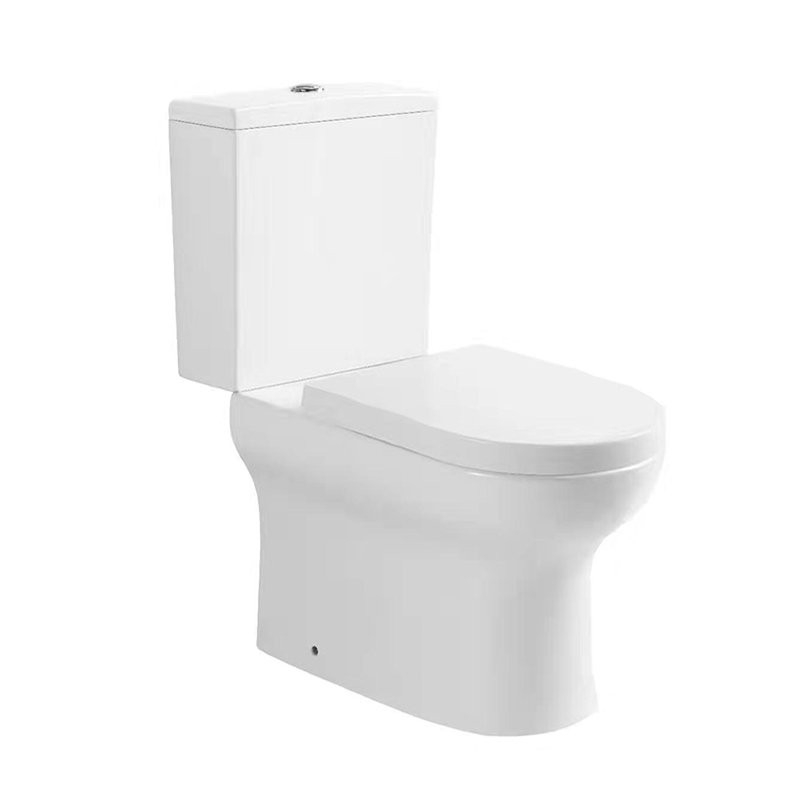 W21505 BARENO Water Closet / Toilet Bowl Bathroom / Washroom Choose Sample / Pattern Chart