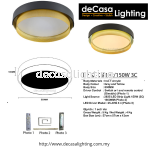 Modern Ceiling Light (9202)