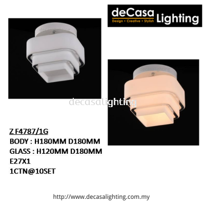 Modern Ceiling Light (4787)