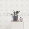 34512-1m JEIL MATIE Wallpaper (Korea)