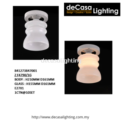 Modern Ceiling Light (4790)