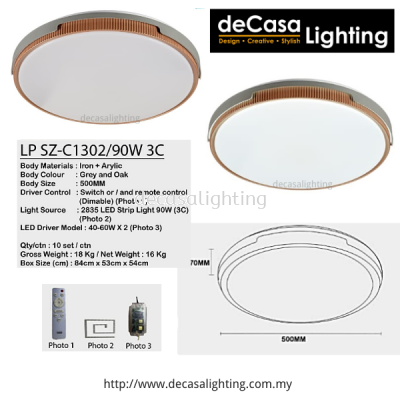 Modern Ceiling Light (1302)