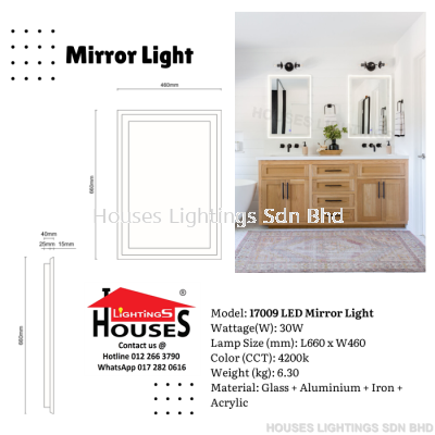 17009 LED Mirror Light