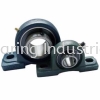 Pillow Block Bearing - UCP Pillow Block Ball & Roller Bearing