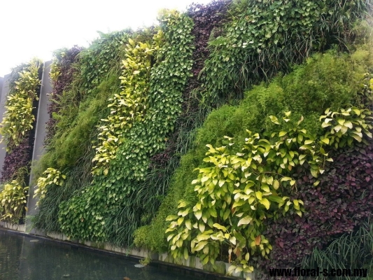 Dinding Rumbut Penghijauan (Green Wall ) 05