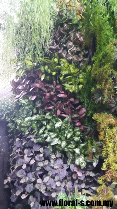 Residential Green Wall 03