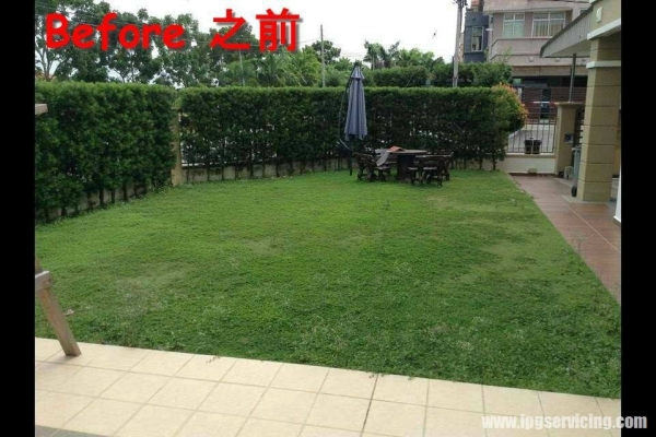 House Artificial Grass Reference Johor Bahru