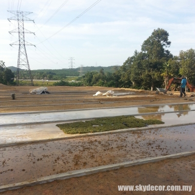 Kontraktor Tanam Rumput Karpet Yang Sebenar Kuala Lumpur