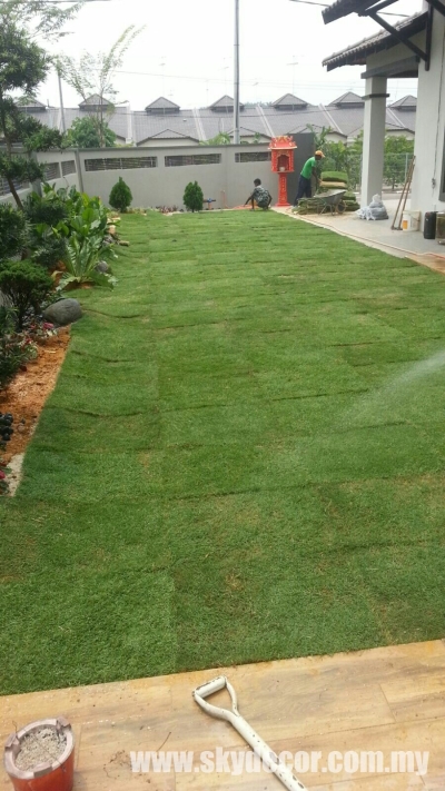 Kontraktor Tanam Rumput Karpet Yang Sebenar Bandar Sri Damansara