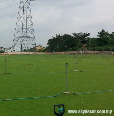 Kontraktor Tanam Rumput Karpet Yang Sebenar Selangor