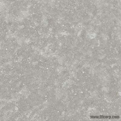 PIETRA CIOTOLI MEDIUM GREY 600x600x10mm