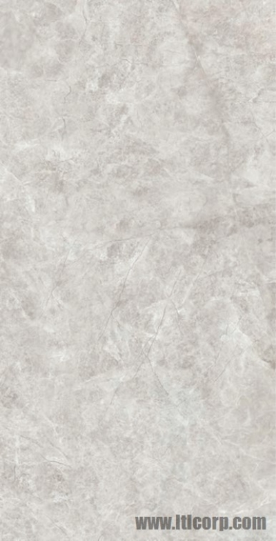 VENUS LIGHT GREY (4) KYEG1890013 900x1800x12mm