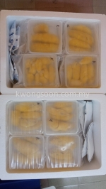 Ice Bag / 冰袋 / Malaysia Singapore Cold Chain Courier Logistic / 西马 新加坡 冷冻运输
